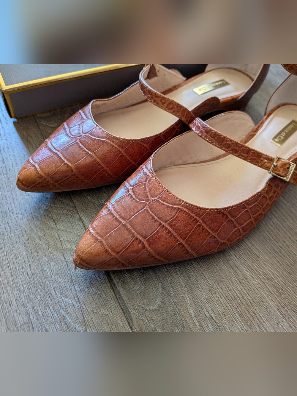 Louise et Cie Anthropologie Croc-Embossed Pointed Mary Jane Flats Size 8.5 - Picture 2 of 9